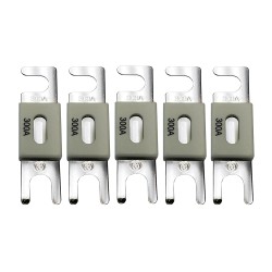 Запобіжник Victron Energy ANL-fuse 300A/80V (5 pc)