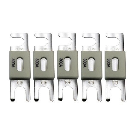 Запобіжник Victron Energy ANL-fuse 300A/80V (5 pc)