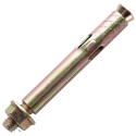 Анкер з кожухом і гайкою APRO М6/8х100 (10 шт)