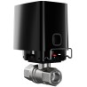 Антипотоп-система Ajax WaterStop [1] black