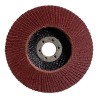 Пелюсточний шліфкруг Bosch 125 мм К40 (2608603656)