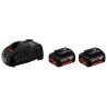 Набiр акумулятор 18 В 5,0 Аг + ЗП Bosch (1.600.A00.B8J)