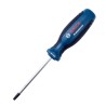 Викрутка Bosch T25 Professional 100 мм